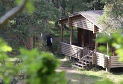 免费吃瓜群小木屋下载,揭秘下载背后的秘密与乐趣