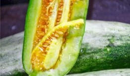 全网网红吃瓜网