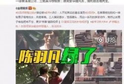 王庄爆料二虎事件视频播放,二虎事件视频引发热议，真相究竟如何？