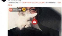 真实爆料白百何视频,真相背后引人深思