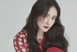 杨幂的最新消息爆料,事业爱情双丰收，揭秘女神背后的故事