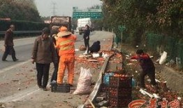 杞县柿园车祸最新爆料消息