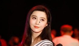 娱乐圈爆料范冰冰事件,娱乐圈巨星的跌宕起伏