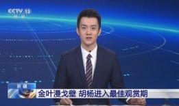 新疆歌手爆料新闻最新,揭秘娱乐圈背后惊人内幕