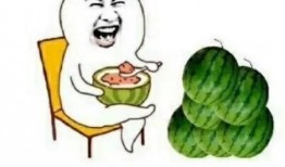 娱乐吃瓜的头像,吃瓜群众眼中的明星幕后故事