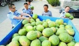 赣州网红吃瓜群微信,揭秘网络红人背后的故事与八卦