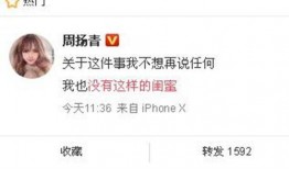 嘉定新闻爆料最新消息今天,详情即将揭晓