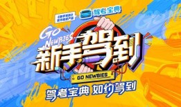 在线观看新手驾到,新手司机成长记