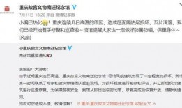四川观察爆料视频回放,揭秘事件背后真相