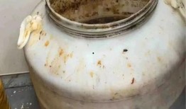 爆料正新鸡排视频大全,揭秘美味背后的制作过程