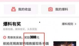 今日头条爆料高密,揭秘背后惊人真相！