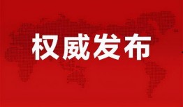 武胜皮肤爆料最新消息,神秘元素揭示，游戏体验再升级！