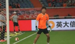 武汉外援爆料新闻报道视频,揭秘疫情下的真实生活与挑战