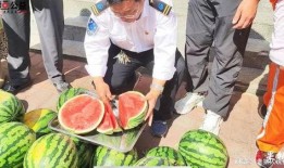 任县大瓜爆料视频,一场引人入胜的真相大揭秘