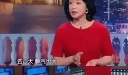 圈内爆料歌手有哪些,圈内爆料，歌手们的幕后故事