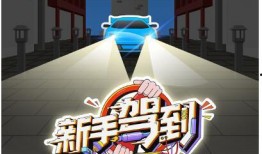 在线观看新手驾到,新手司机成长记