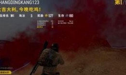 吃鸡怎么看爆料记录视频,深度解析爆料记录视频背后的秘密