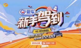 在线观看新手驾到,新手司机成长记