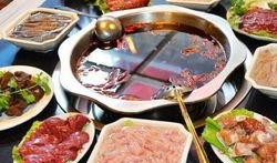 爆料火锅达人视频大全,揭秘火锅界的绝妙风味与烹饪技巧