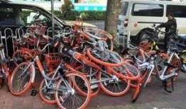 天津自行车爆料视频大全,揭秘行业风云与传奇故事